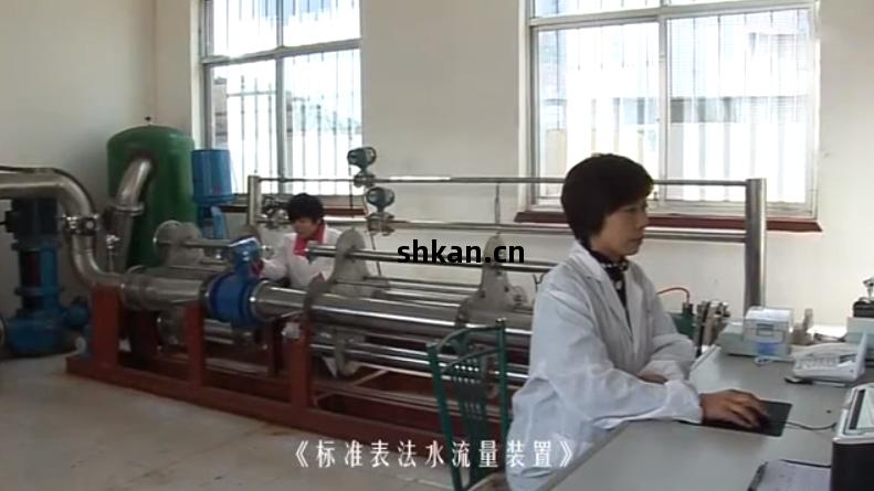 標(biao)準(zhun)表法水流量裝置